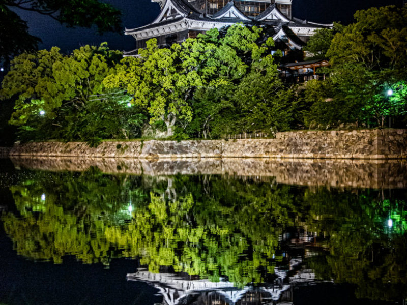 広島城の夜